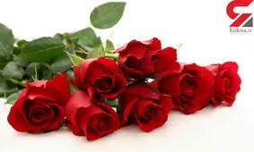 درمان فوری سردرد با یک گل خوشبو