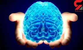 شارژ کردن مغز با 12 خوراکی خوشمزه