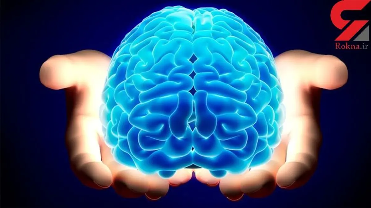 شارژ کردن مغز با 12 خوراکی خوشمزه