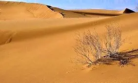 نجات ۹ گردشگر گرفتار شده در کویر توسط پلیس