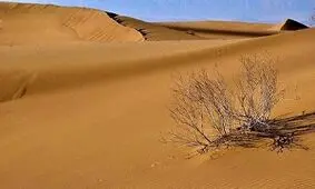 نجات ۹ گردشگر گرفتار شده در کویر توسط پلیس