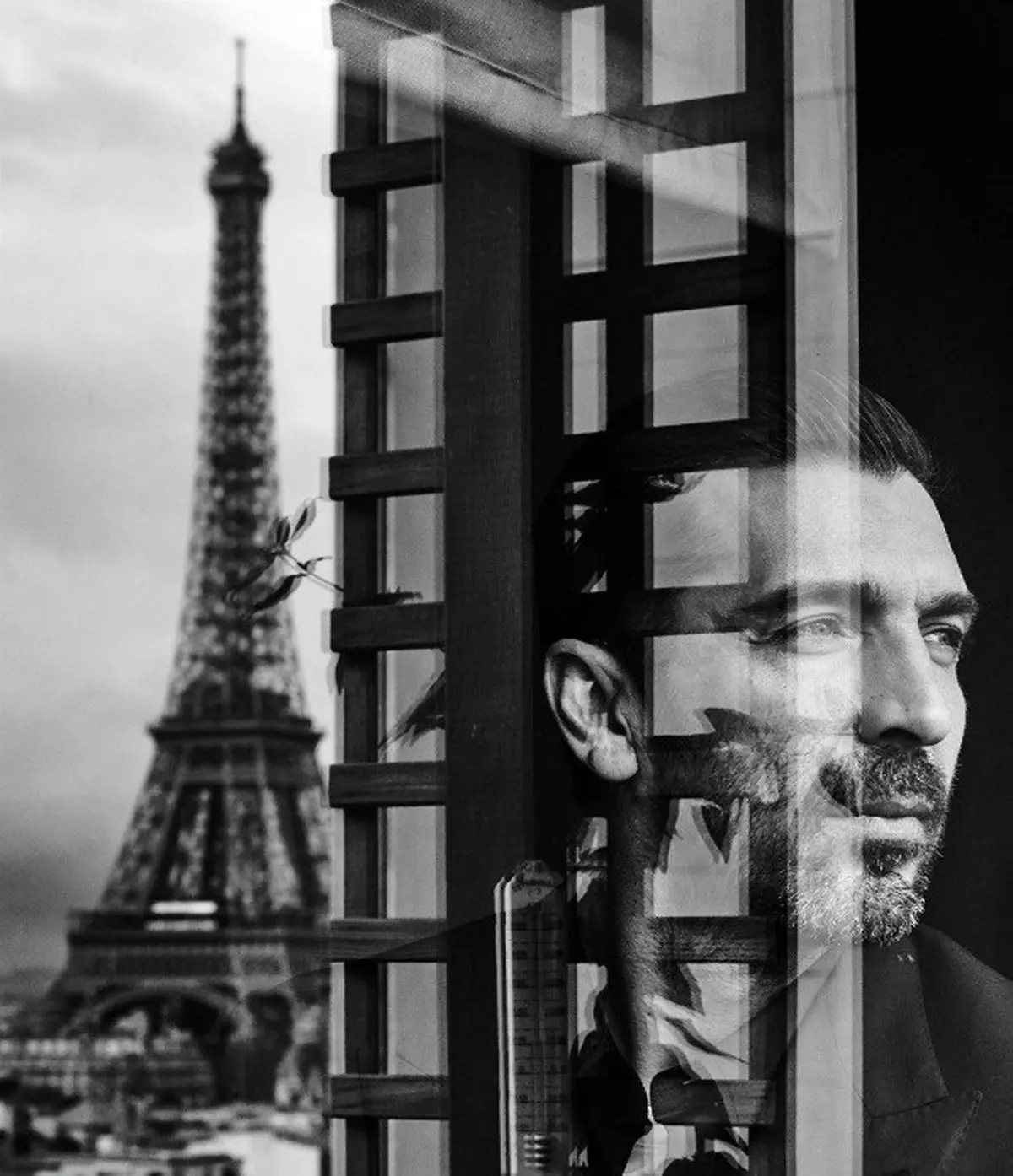 بوفون‌: در ۲۵ سالگی افسرده شده بودم