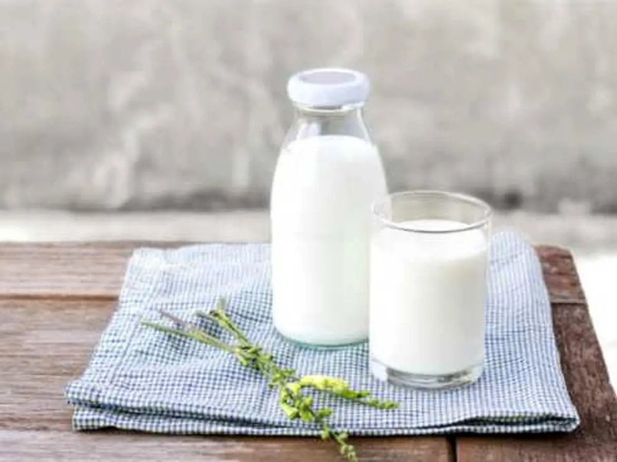 شیر را صبح بخوریم بهتر است یا آخر شب؟