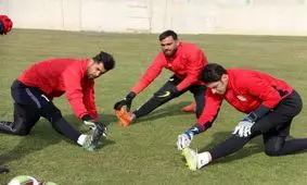 رقابت درون قفس توری تراکتور بالا گرفت