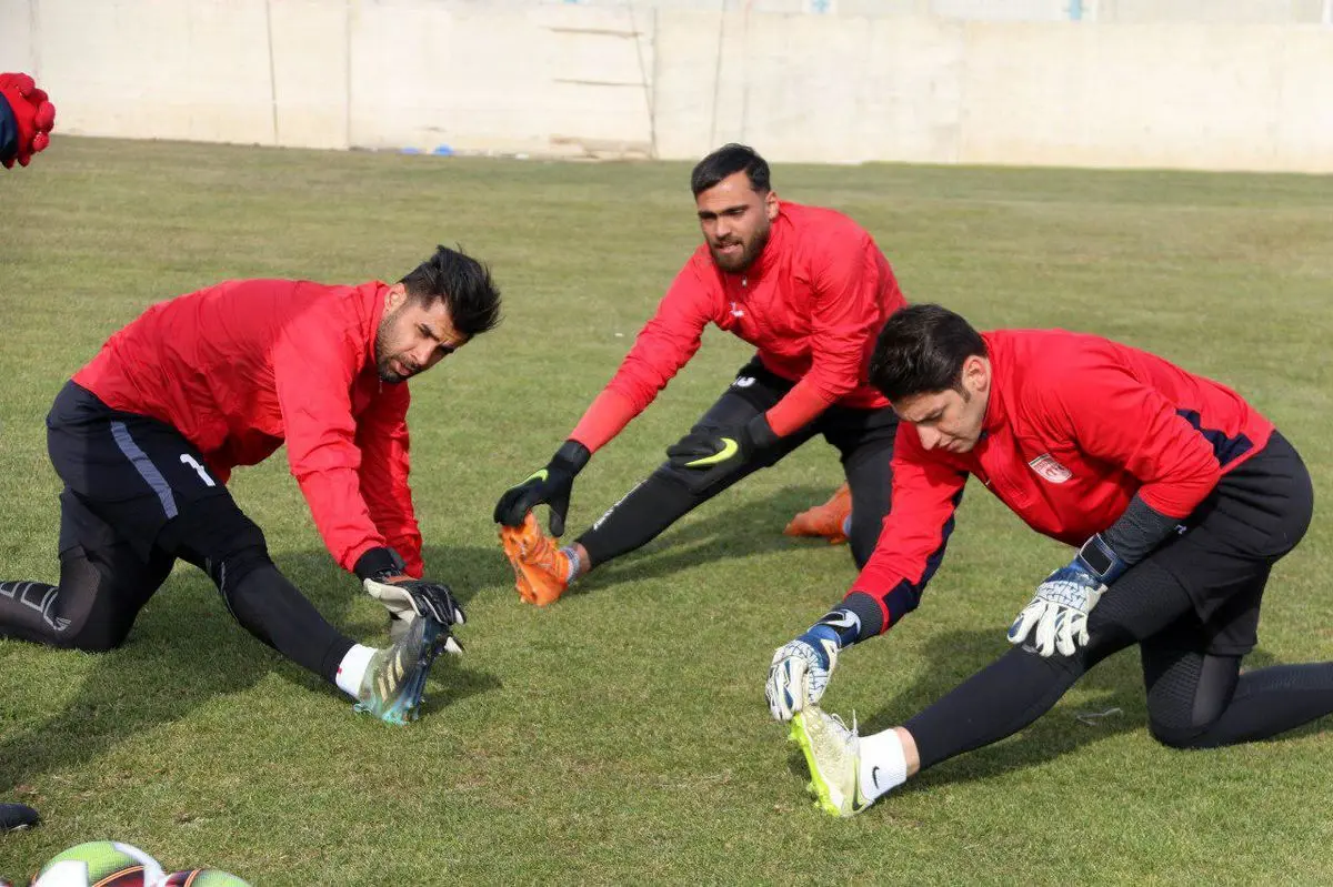 رقابت درون قفس توری تراکتور بالا گرفت