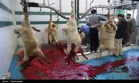 بوی تعفن کشتارگاه لنده مردم را کلافه کرده است