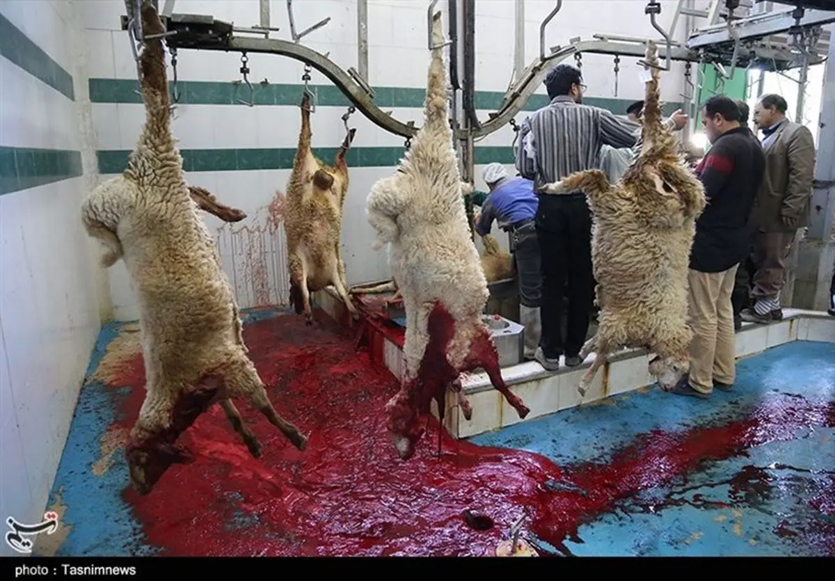 بوی تعفن کشتارگاه لنده مردم را کلافه کرده است