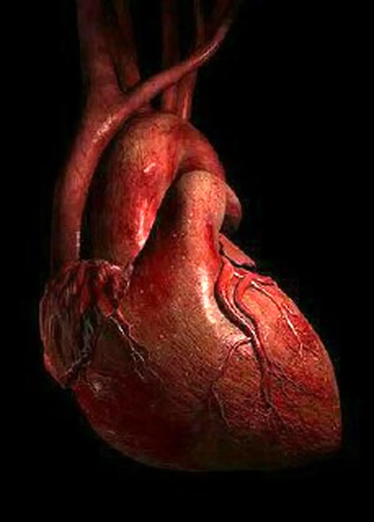 نکته جالبی در رابطه با فشار خون خروجی سرخرگ قلب