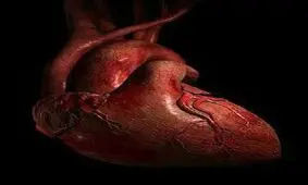 نکته جالبی در رابطه با فشار خون خروجی سرخرگ قلب
