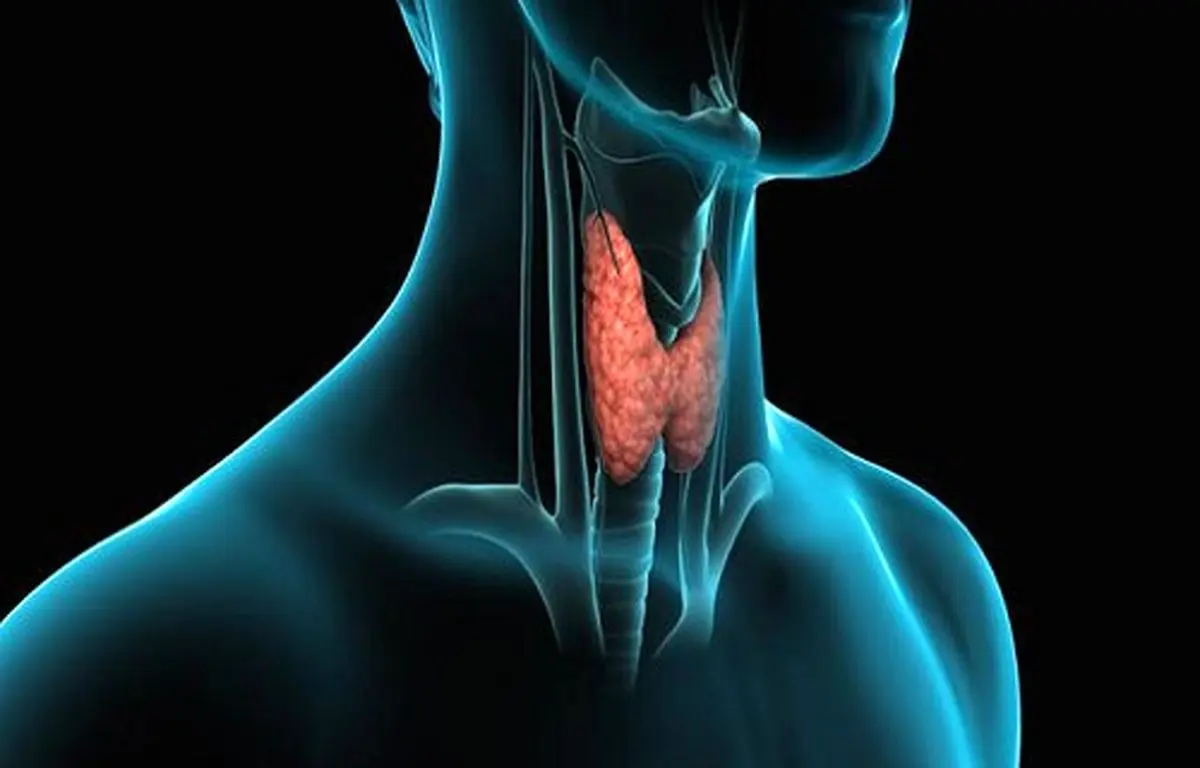 غده کوچک پروانه‌ای در بدن نشان از چه بیماری دارد؟