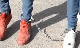 دستگيري سارقان احشام در خراسان شمالي