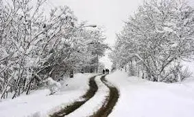 بارش برف در جاده اردبیل به سرچم محدوده سه راهی خلخال