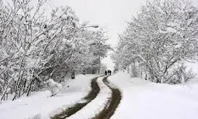 بارش برف در جاده اردبیل به سرچم محدوده سه راهی خلخال