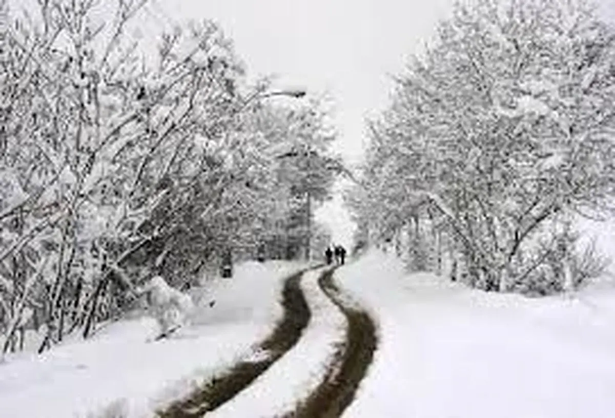 بارش برف در جاده اردبیل به سرچم محدوده سه راهی خلخال