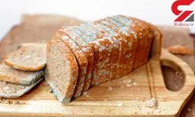 ترفندهای جلوگیری از کپک زدن مواد غذایی