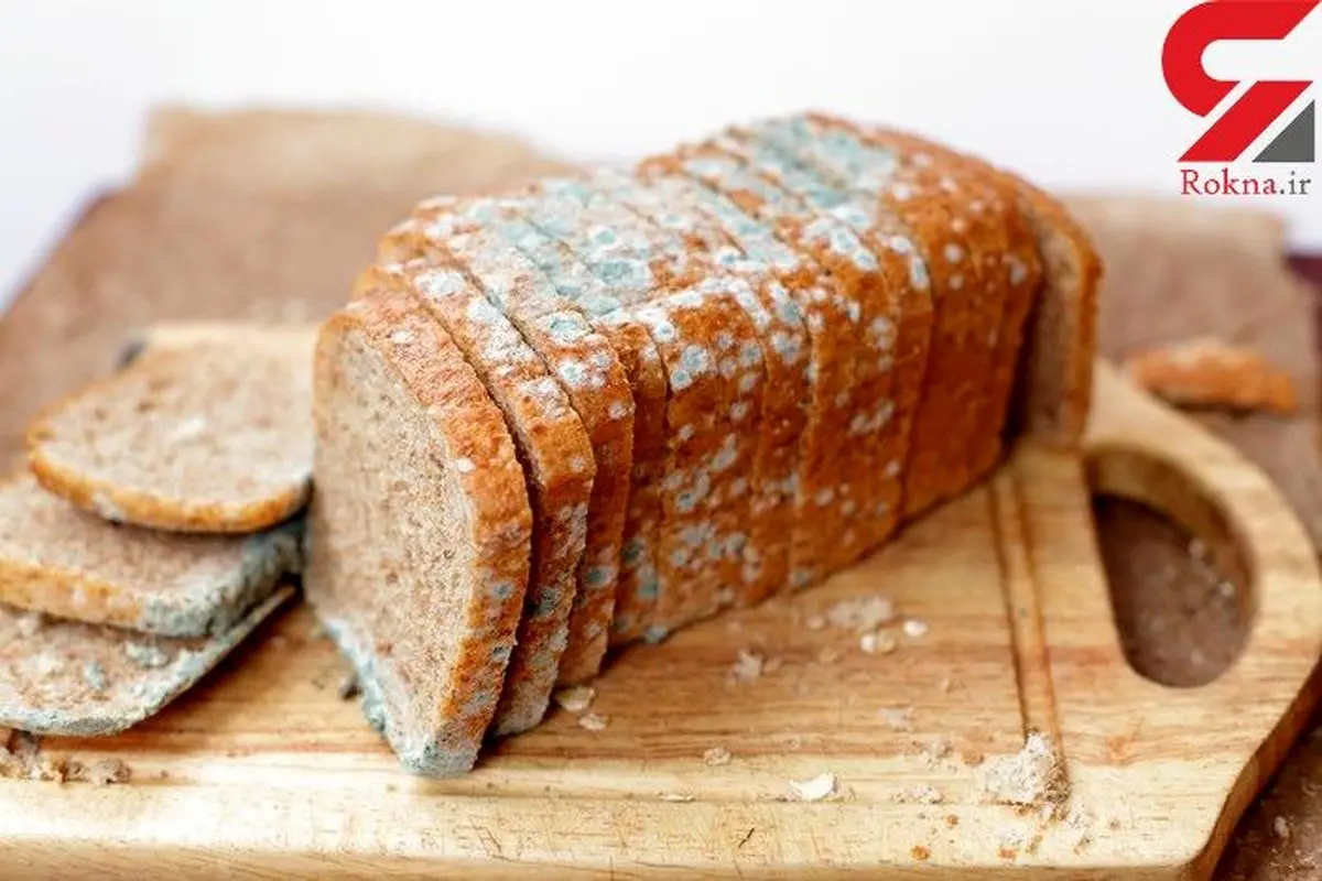 ترفندهای جلوگیری از کپک زدن مواد غذایی