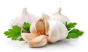 شگفت انگیز ترین گیاه دارویی زمین !
