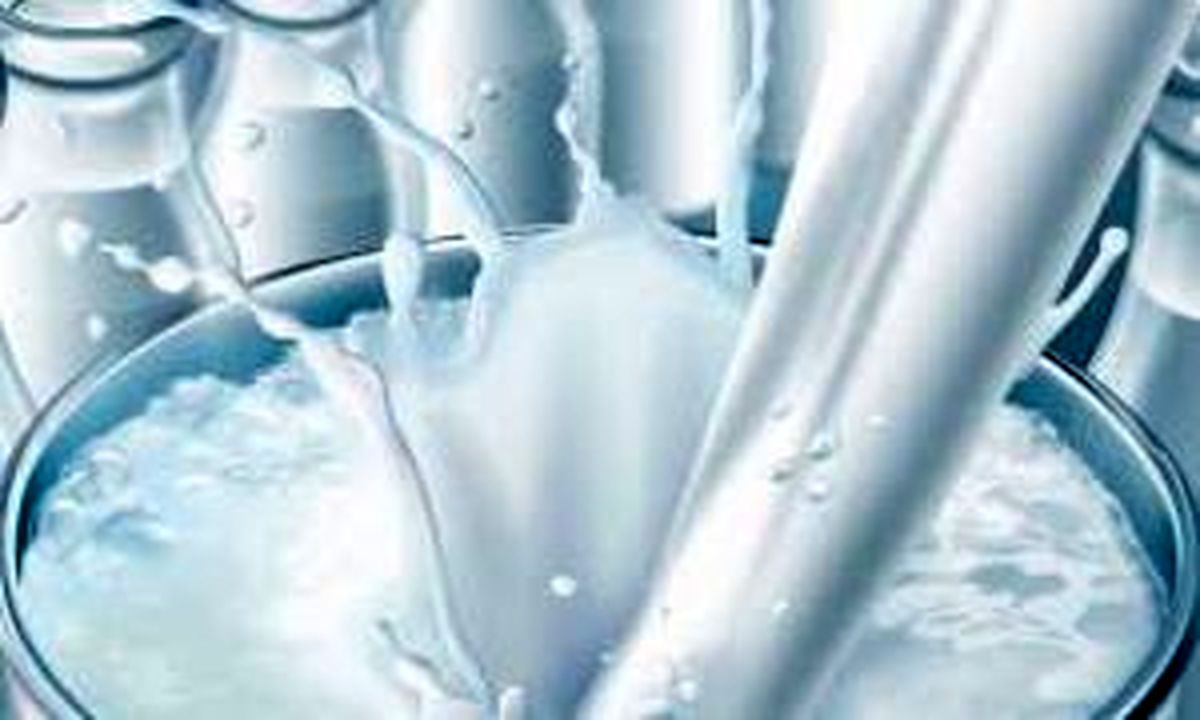 کشف محمولههای مواد لبنی فاسد در گیلان