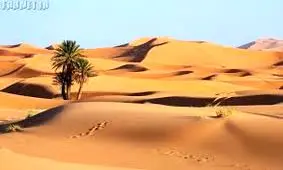 زیباترین صحراهای شنی دنیا