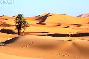 زیباترین صحراهای شنی دنیا