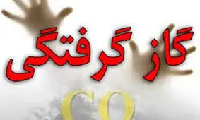 مرگ جوان گلستانی در اثر گاز گرفتگی