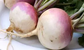 شلغم داروخانه‌ای مفید