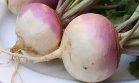 شلغم داروخانه‌ای مفید