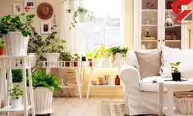 کمین میکروب ها در این مکان ها بیشتر است