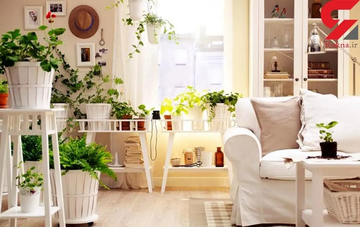 کمین میکروب ها در این مکان ها بیشتر است