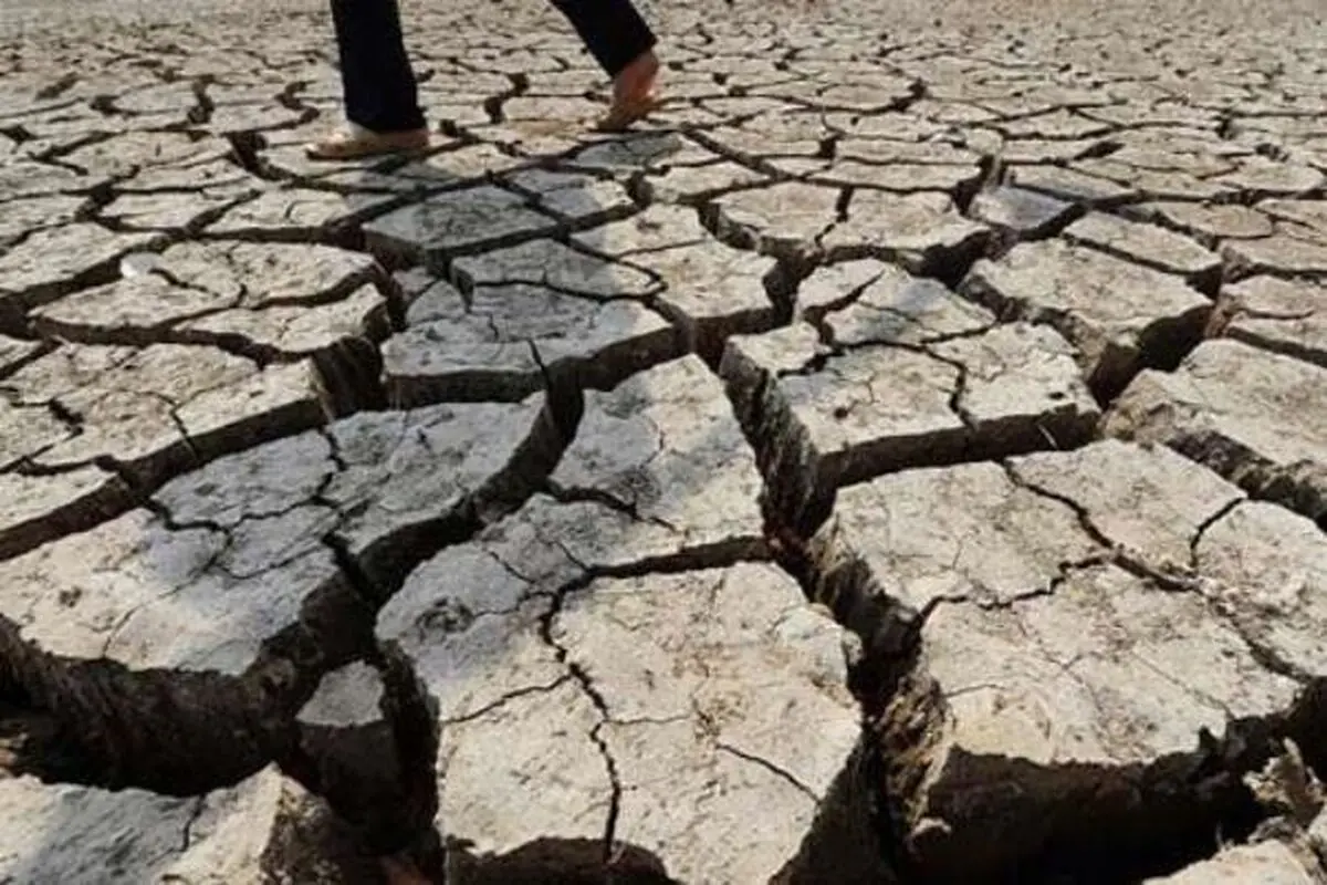 خشکسالی حیات وحش سیستان و بلوچستان را در معرض خطر قرار داده است