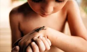 دوستی با مارمولک در عکس روز نشنال جئوگرافیک