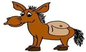 حکایت " سر خر " چیست ؟