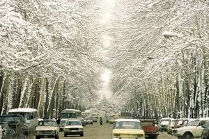 عکس نوستالژی از خیابان ولیعصر تهران