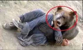 فیلم / ویدئویی از حملات حیوانات وحشی به انسان و نجاتشان