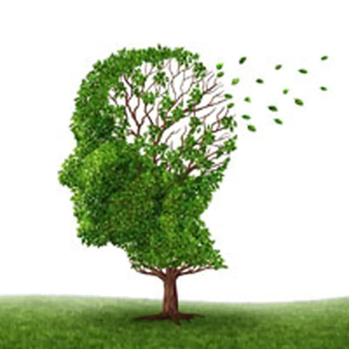 وقتی ‌عزیزترین آدم‌زندگی ‌به آلزایمر مبتلا می‌شود، باید چه‌کنیم؟