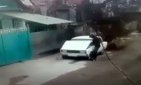 خاطرات دزد با ادب