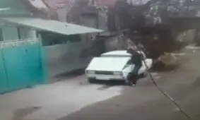 خاطرات دزد با ادب