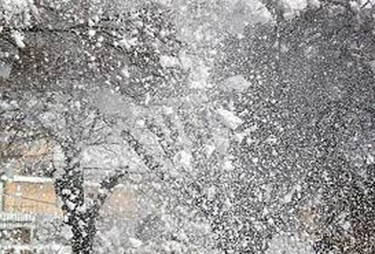 آماده باش برای بارش سنگین برف احتمالی