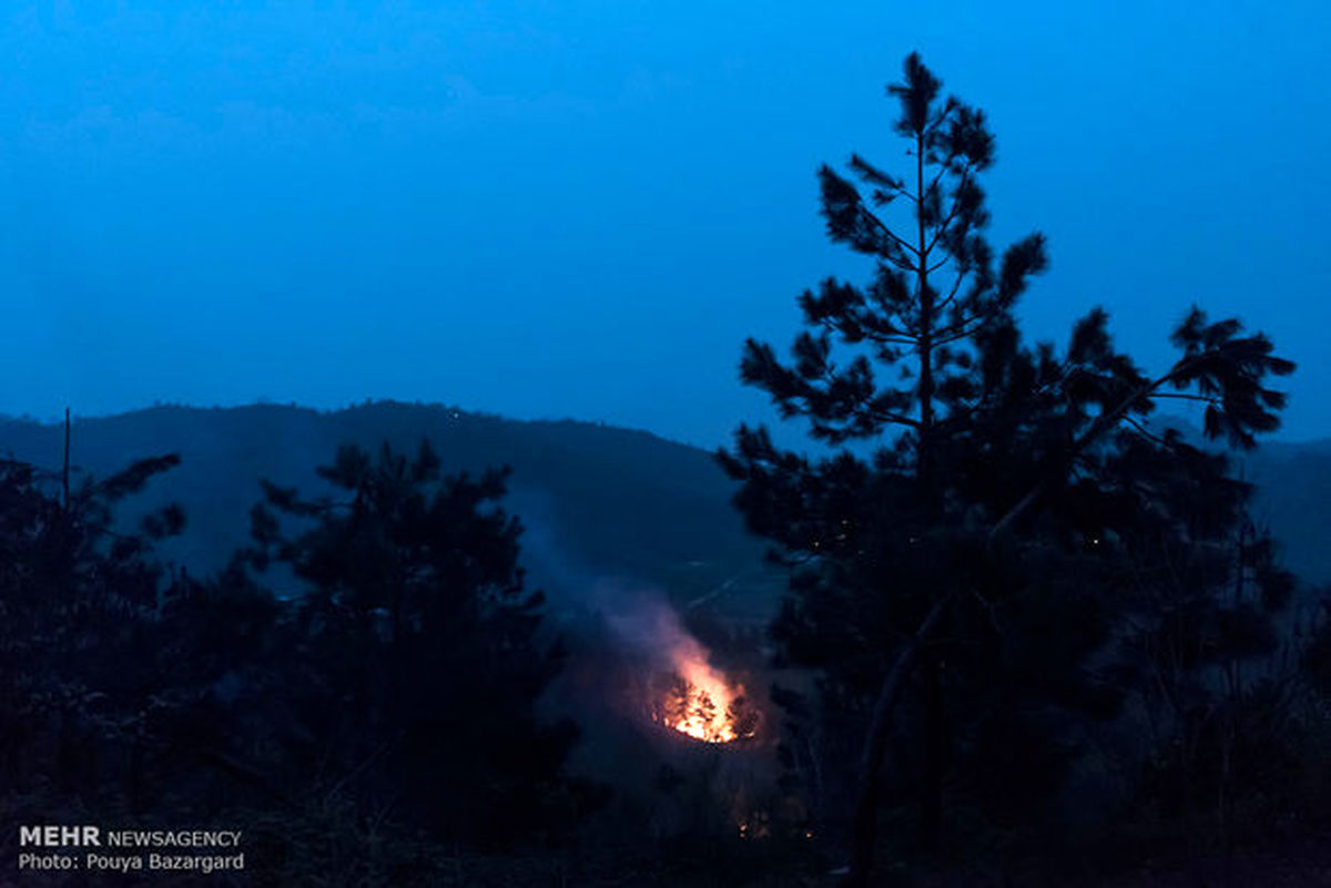 آتش سوزی در برخی مناطق جنگلی گیلان
