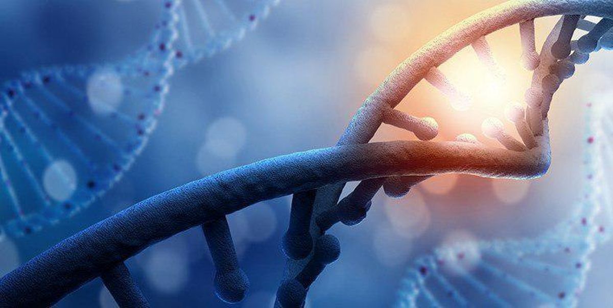 پیشبینی طول عمر با بررسی DNA