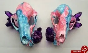 آثار هنری که از کله پاچه حیوانات ساخته شده/ تصاویر