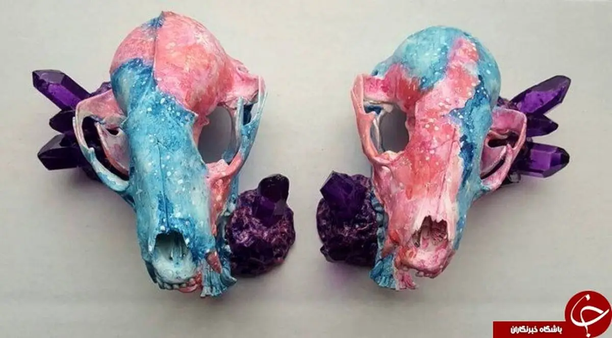 آثار هنری که از کله پاچه حیوانات ساخته شده/ تصاویر