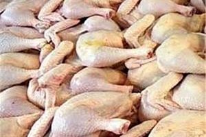 کشف ۲ تن گوشت مرغ فاسد در فاروج