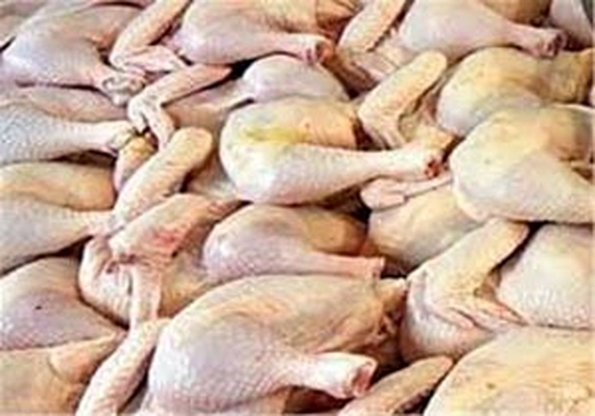 کشف ۲ تن گوشت مرغ فاسد در فاروج