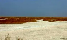 تالاب هورالعظیم با تصمیم غیرکارشناسی ‌برای استخراج نفت به‌ کانون ریزگردها ‌تبدیل شد