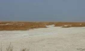 تالاب هورالعظیم با تصمیم غیرکارشناسی ‌برای استخراج نفت به‌ کانون ریزگردها ‌تبدیل شد