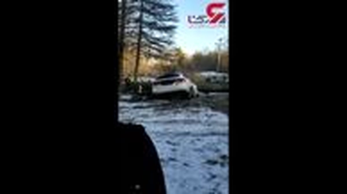 سقوط درخت قطع شده خودرو را پودر کرد ! + فیلم