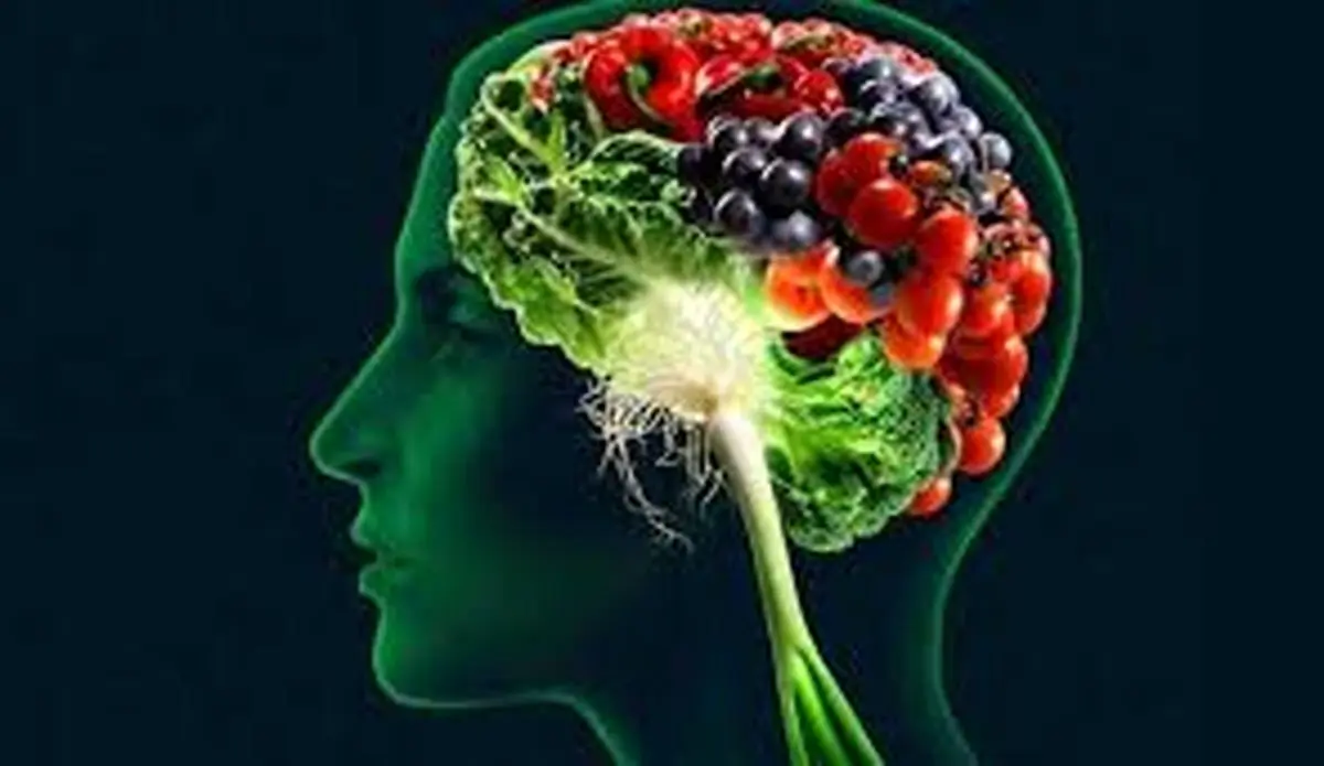 کدام خوراکی ها به تقویت حافظه کمک می کنند؟