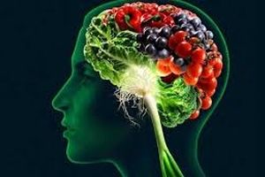 کدام خوراکی ها به تقویت حافظه کمک می کنند؟