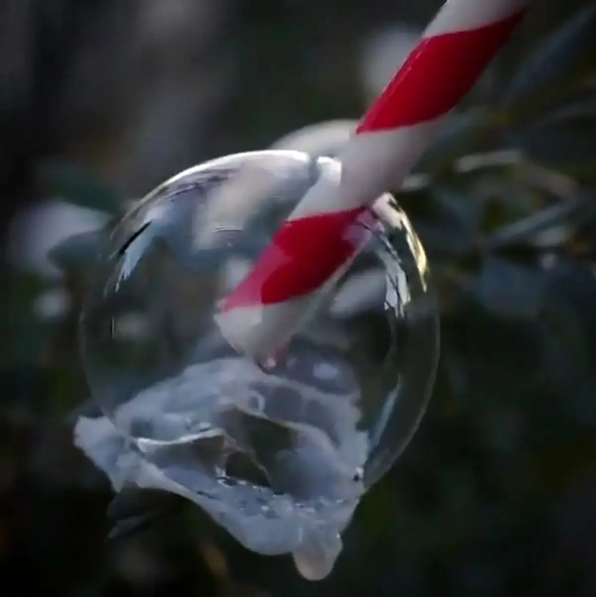 لحظه فوق العاده دیدنی یخ زدن حباب